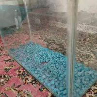آکواریوم..