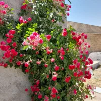 شهرک صنعتی گلپایگان