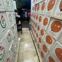عرضه تخم مرغ با قیمت عمده