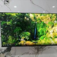 تلویزیون دوو