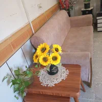 راحتی ۷نفره