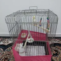 قفس پرنده