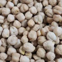 نخود بهاره پزا ،کشاورزی