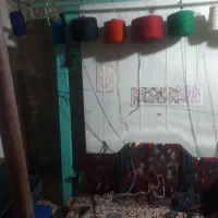 فرش دستباف شربیان یک جفت هر کدام ۶ متری|فرش|کهریزک, |دیوار