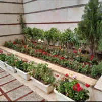 اصول نگهداری گیاهان داخلی و بیرونی|خدمات باغبانی و درختکاری|تهران, قلهک|دیوار