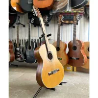 /* انتخاب مطمئن گیتار  از هنرجویی تا حرفه‌ای