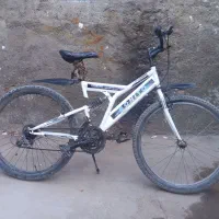 دوچرخه حرفه ای