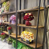 همکار نصاب آقا