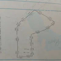 یک هکتار زمین