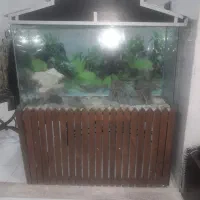 آکواریوم شیشه خم