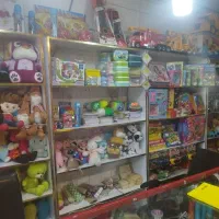 دکور وقفسه|کتابخانه، شلف، قفسه‌های دیواری|مشهد, پنجتن|دیوار