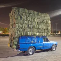 یونجه (بیده)خشک