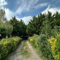 ویلاباغ دارای محوطه1400متری و بنا 240|فروش خانه و ویلا|لیسار, |دیوار