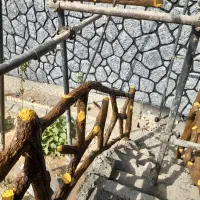 سیمانکاری طرح سنگ|خدمات پیشه و مهارت|حمیدیا, |دیوار