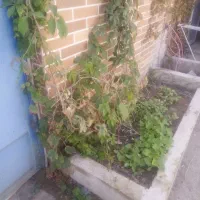 فروش خانه ویلایی ۱۹۰ متری ۳ خوابه