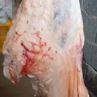 قصابی صداقت دراسرع وقت درخدمت همشهریان عزیزمیباشد|خدمات پیشه و مهارت|نیشابور, شهرک زرگران|دیوار