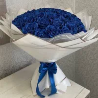 40000|گل و گیاه طبیعی|سهند, |دیوار