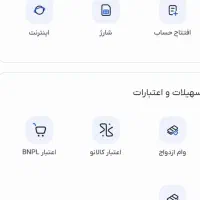 ضامن میشم باجت