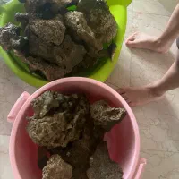 سنگ آکواریوم آب شور