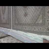 رج ۴۰ رنگ کرمی نو