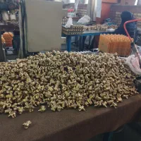 کمک انبار آقا