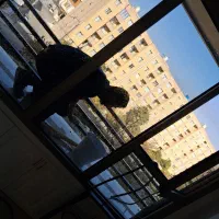 مجموعه خدماتی نظافتی نوین