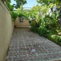 خونه،سوئیت،منزل،اجاره ای پنج کیلومتری شهر قاین|اجارهٔ کوتاهمدت ویلا و باغ|قائن, |دیوار