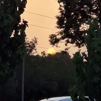 کار در کافه