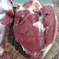 گوشت گوسفند نرمه و با استخوان