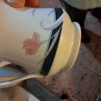 سرویس کامل چینی