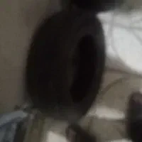 لاستیک پژووپیکان