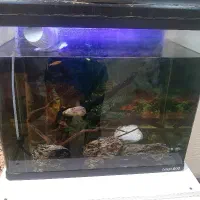 آکواریوم AQUA600