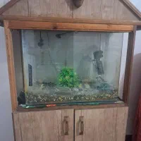 فردش اکواریوم|ماهی|تهران, مشیریه|دیوار