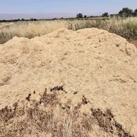 کاه کاهکوب گندم تمیز|عمده‌فروشی|چناران, |دیوار