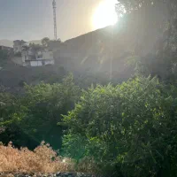 زمین فروشی در روستای خوش آب و هوای زشک|فروش زمین و ملک کلنگی|شاندیز, |دیوار