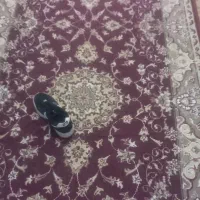 وسایل منزل|فرش|زابل, |دیوار