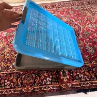 پد ، سبد ادرار سگ و گربه|لوازم جانبی حیوانات|شاهین‌شهر, مخابرات (شهید بهشتی)|دیوار