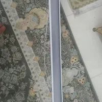 پردرزبرارولی طوسی سفیدکاملانو