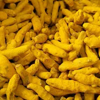 زردچوبه زرین هندوستان