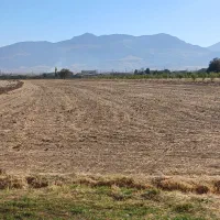 فروش زمین کشاورزی|فروش دفتر صنعتی، کشاورزی، تجاری|شیروان (لرستان), |دیوار