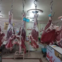 استخدام خانم ادمین و بلاگر حضوری|استخدام بازاریابی و فروش|تهران, جیحون|دیوار