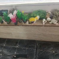 وسایل آکواریوم .به طول ۵۷و عرض ۳۲و ارتفاع۳۶|ماهی|کرمانشاه, |دیوار