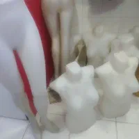 مانکن و رگال وقفسه پوشاکی بفروش میرسد|فروشگاه و مغازه|شیراز, شاه قلی بیگی|دیوار