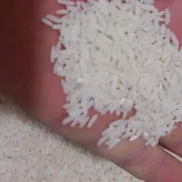 برنج طارم دم سیاه ضمانتی