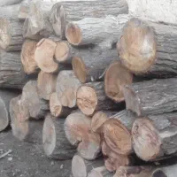 خریدار چوب