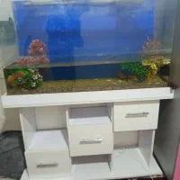 آکواریوم خم کارخانه ای