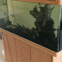 آکواریوم چینی با لوازم و ماهی|ماهی|مشهد, کوی ولیعصر|دیوار