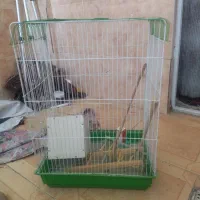 قفس با لوازم|لوازم جانبی حیوانات|مشهد, بهارستان|دیوار