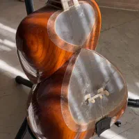 تار جلیل صالحی|سازهای سنتی|تهران, بهار|دیوار