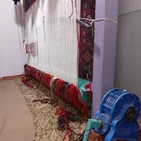 دار قالی|فرش|میانه, |دیوار